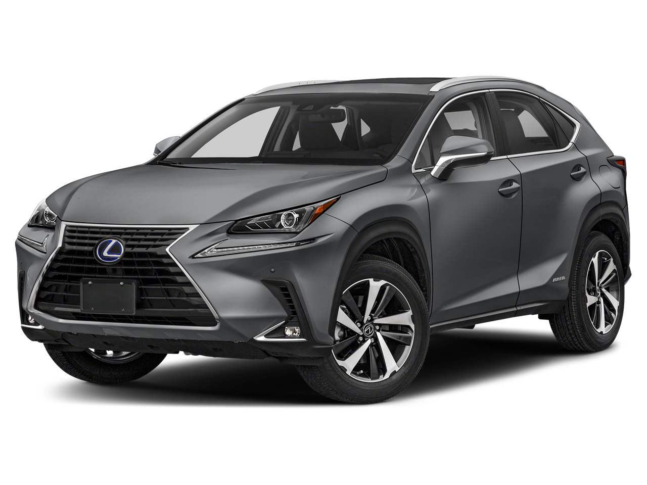 2020 Lexus NX 350h 300h AWD's photo