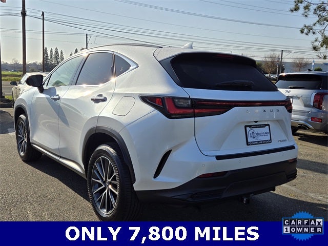 2023 Lexus NX 250 Premium