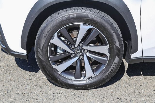 2020 Lexus NX 300h