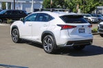 2020 Lexus NX 300h