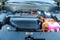 2026 Hyundai PALISADE HYBRID SEL Premium 8P